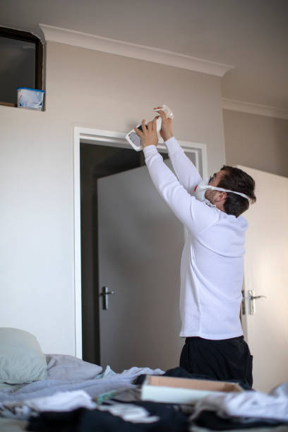 Best Environmental Consulting for Mold Prevention  in Craigsville, WV