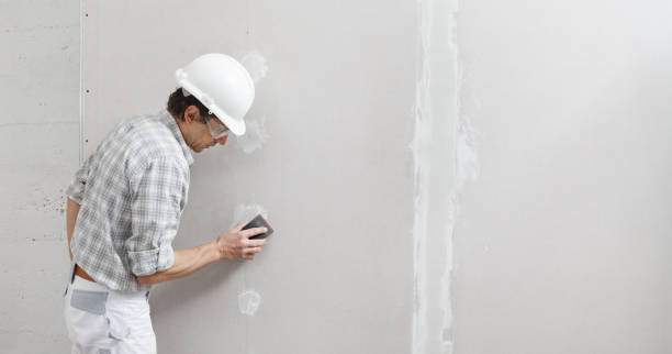 Best Emergency Mold Remediation  in Craigsville, WV