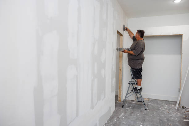 Best Post-Construction Mold Inspection  in Craigsville, WV